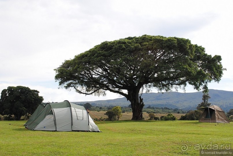 Акуна матата, или даешь сафари! Часть 4