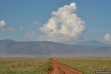 Акуна матата, или даешь сафари! Часть 4