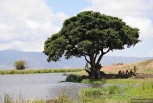 Акуна матата, или даешь сафари! Часть 4