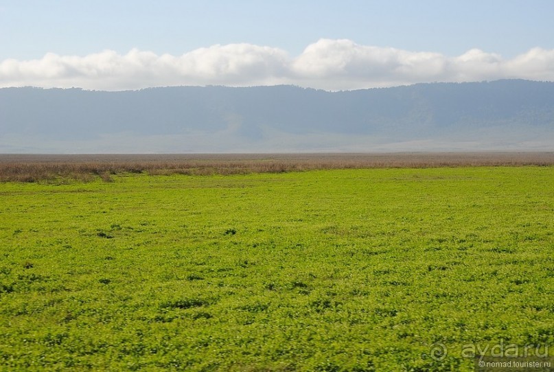 Акуна матата, или даешь сафари! Часть 4