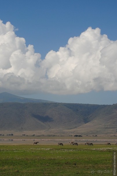 Акуна матата, или даешь сафари! Часть 4 Акуна матата, или даешь сафари! Часть 4