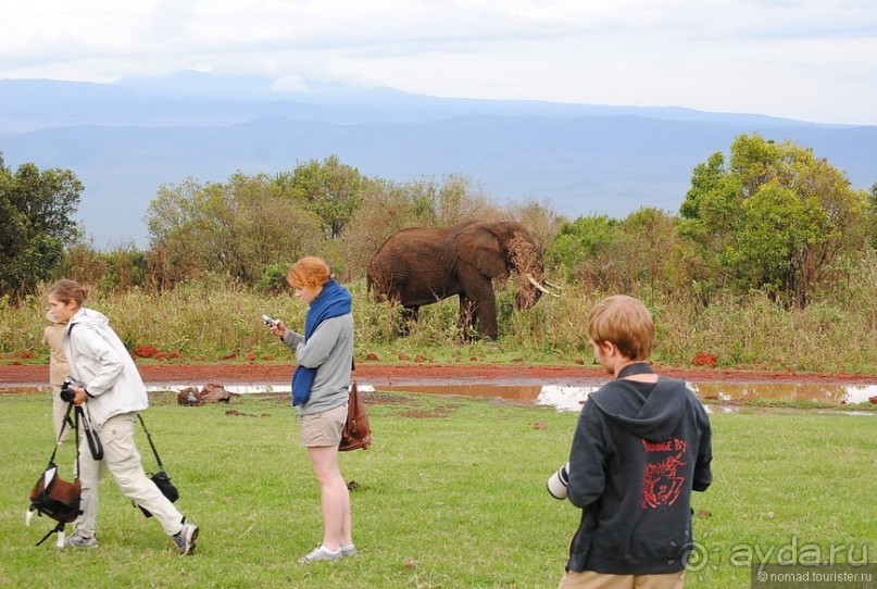 Акуна матата, или даешь сафари! Часть 4 Акуна матата, или даешь сафари! Часть 4