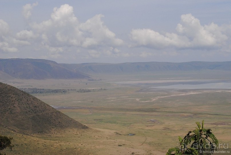 Акуна матата, или даешь сафари! Часть 4