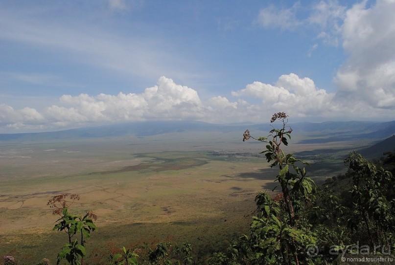 Акуна матата, или даешь сафари! Часть 4 Акуна матата, или даешь сафари! Часть 4
