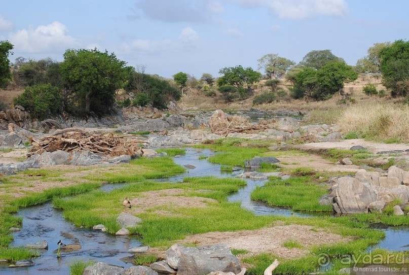 Акуна матата, или даешь сафари! Часть 4 Акуна матата, или даешь сафари! Часть 4