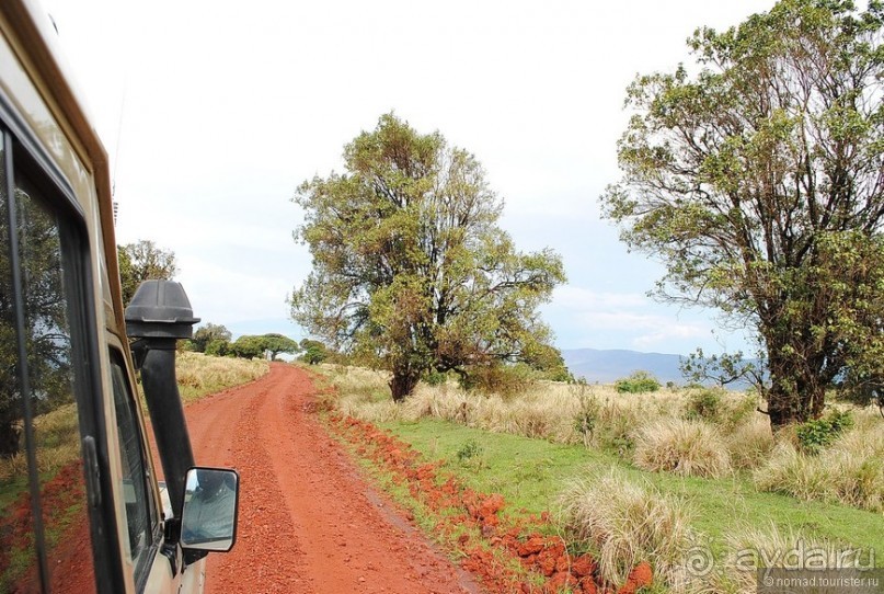 Акуна матата, или даешь сафари! Часть 4 Акуна матата, или даешь сафари! Часть 4