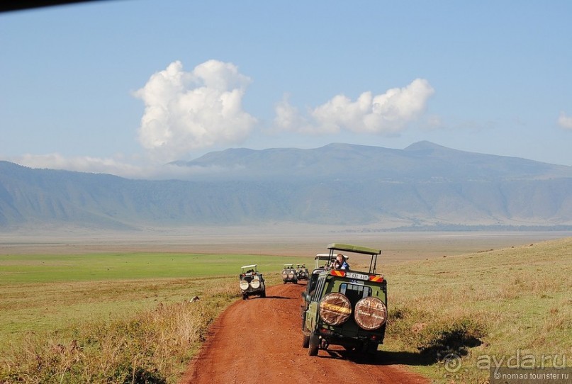 Акуна матата, или даешь сафари! Часть 4 Акуна матата, или даешь сафари! Часть 4