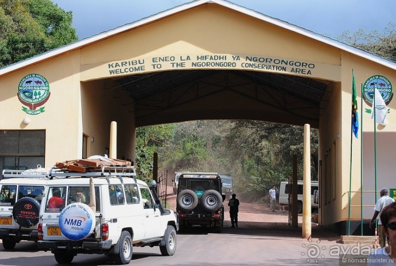 Акуна матата, или даешь сафари! Часть 4 Акуна матата, или даешь сафари! Часть 4