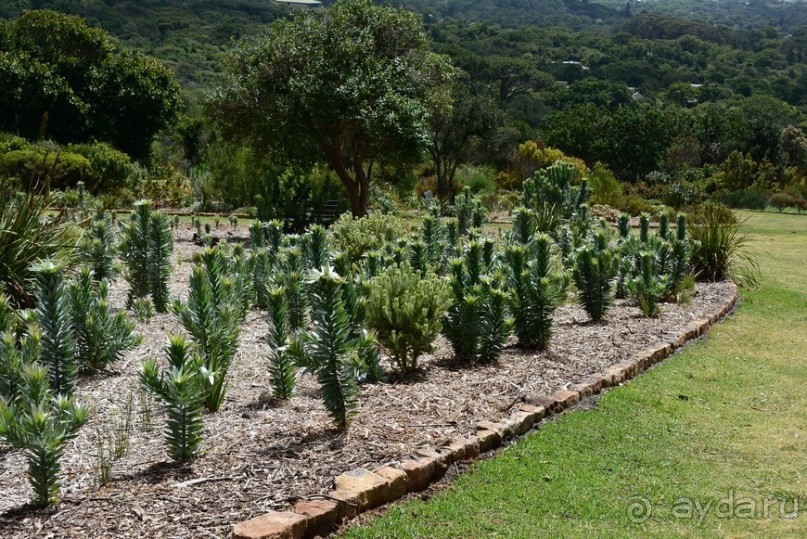 Африканский калейдоскоп. Часть 2