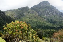 Африканский калейдоскоп. Часть 2