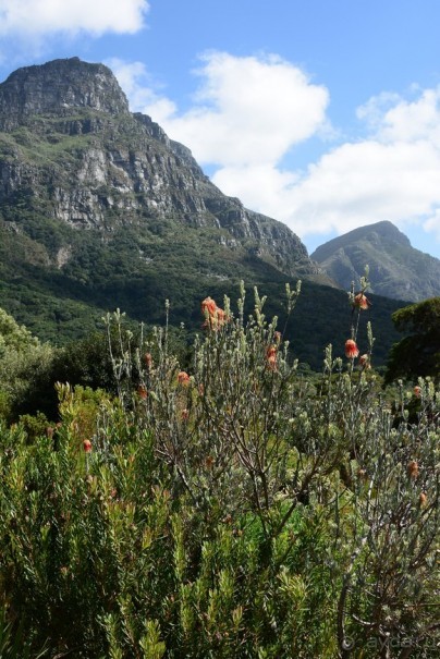 Африканский калейдоскоп. Часть 2