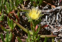 Африканский калейдоскоп. Часть 2