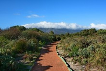 Африканский калейдоскоп. Часть 2