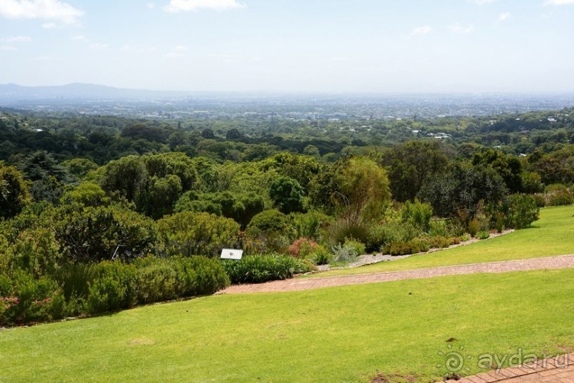 Африканский калейдоскоп. Часть 2