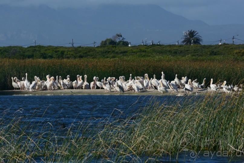 Африканский калейдоскоп. Часть 2