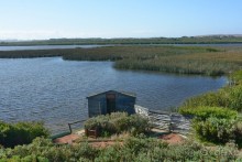 Африканский калейдоскоп. Часть 2