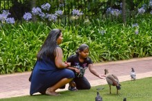 Африканский калейдоскоп. Часть 2