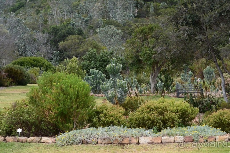 Африканский калейдоскоп. Часть 2