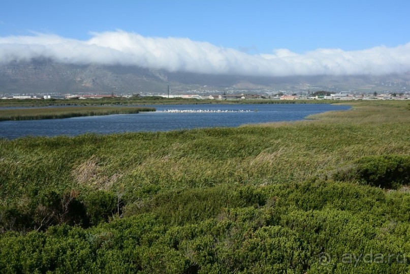 Африканский калейдоскоп. Часть 2