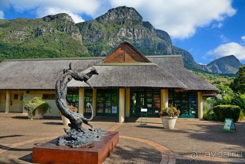 Африканский калейдоскоп. Часть 2