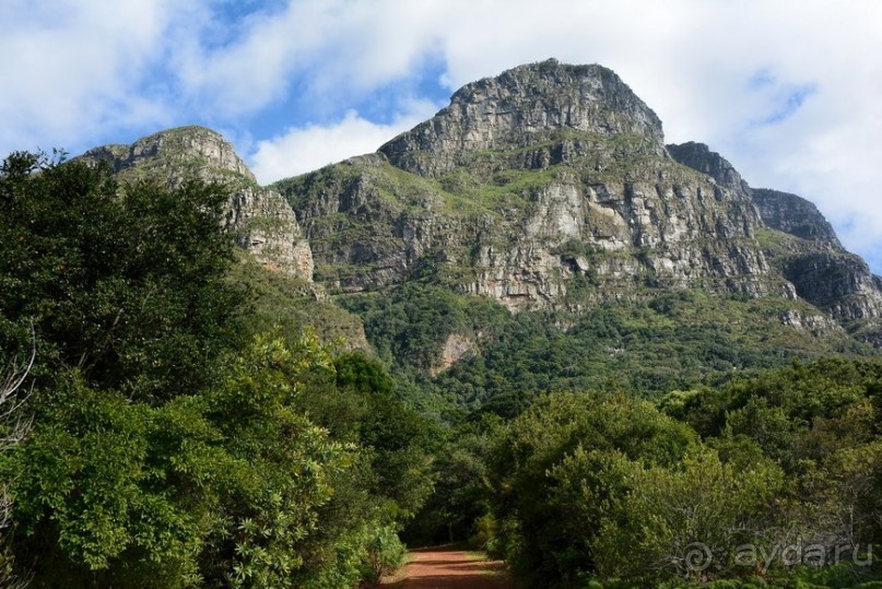 Африканский калейдоскоп. Часть 2