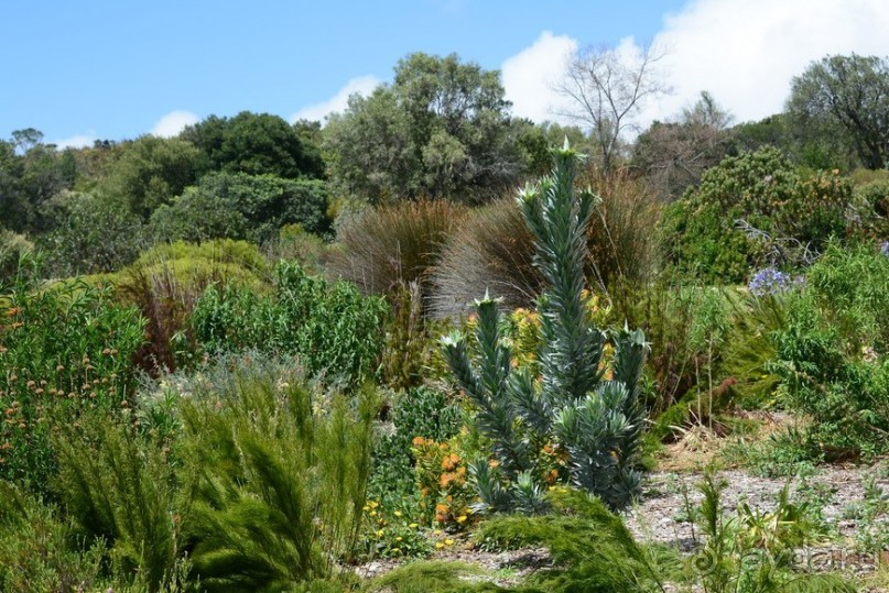 Африканский калейдоскоп. Часть 2