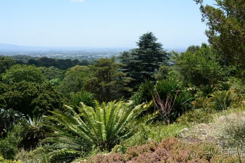 Африканский калейдоскоп. Часть 2