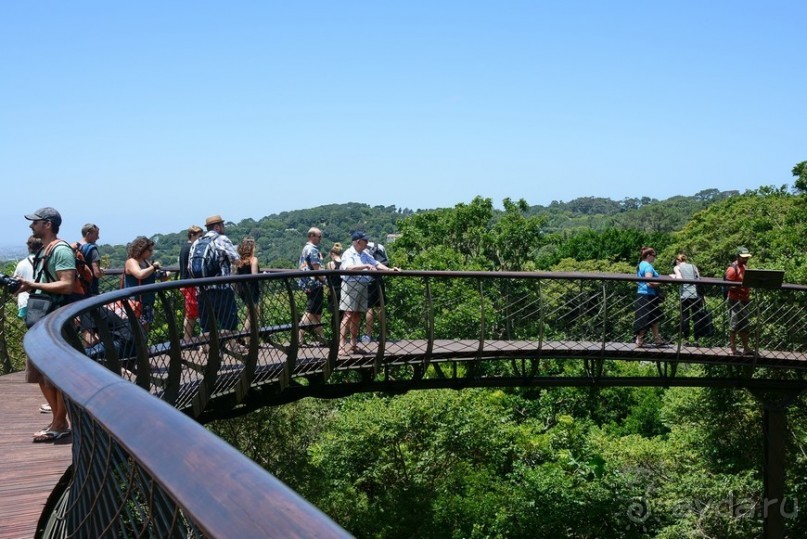 Африканский калейдоскоп. Часть 2