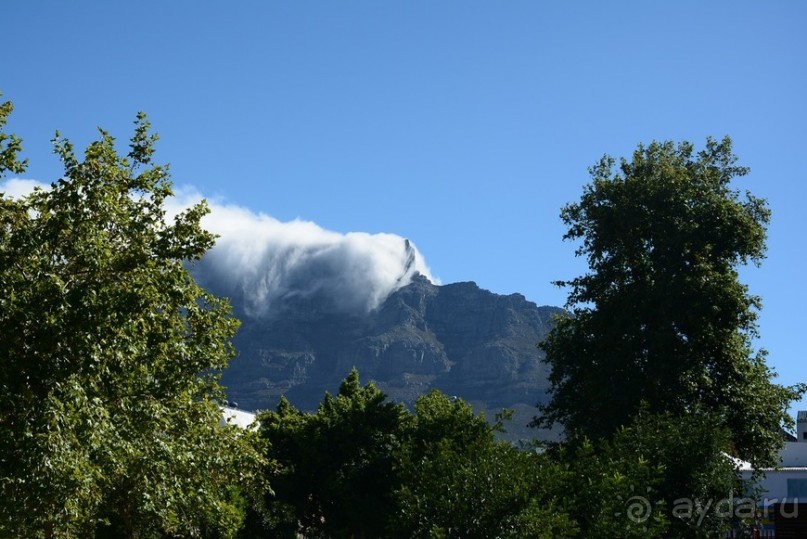 Африканский калейдоскоп. Часть 2