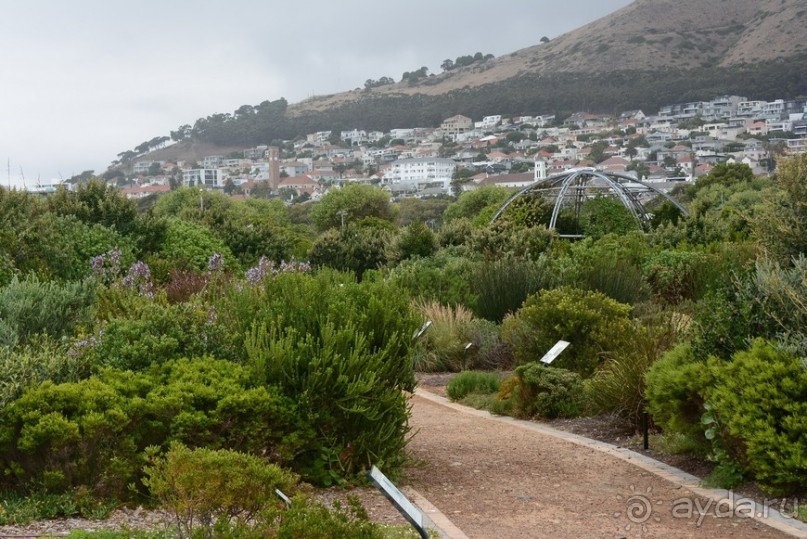 Африканский калейдоскоп. Часть 2