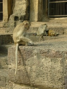 Хочу туда снова и снова...