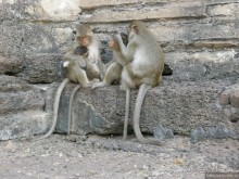 Хочу туда снова и снова...