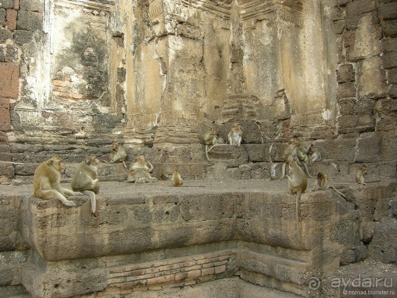 Хочу туда снова и снова...