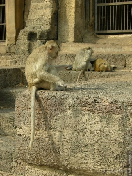 Хочу туда снова и снова...