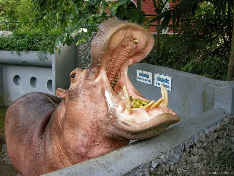 Хочу туда снова и снова...