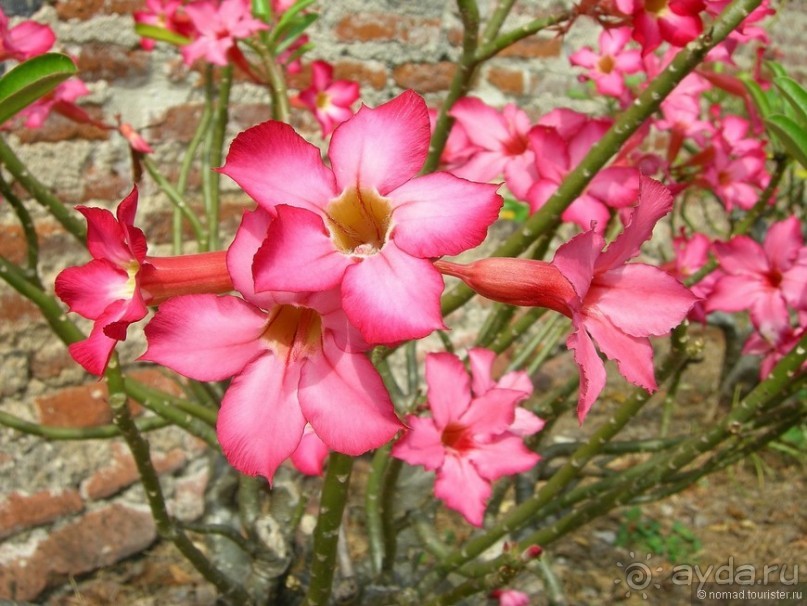 Хочу туда снова и снова...