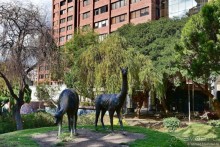 Bolivia te espera! Часть 2