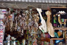 Bolivia te espera! Часть 2