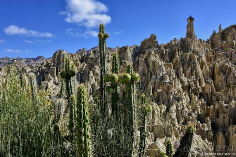 Bolivia te espera! Часть 2