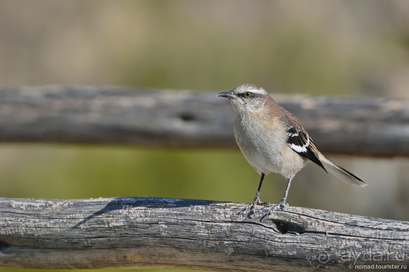 Bolivia te espera! Часть 2