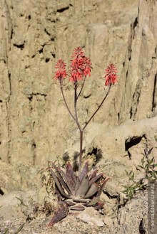 Bolivia te espera! Часть 2