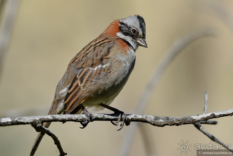 Bolivia te espera! Часть 2