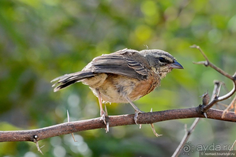 Bolivia te espera! Часть 2
