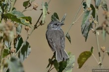 Bolivia te espera! Часть 2
