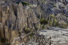 Bolivia te espera! Часть 2