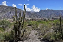 Bolivia te espera! Часть 2