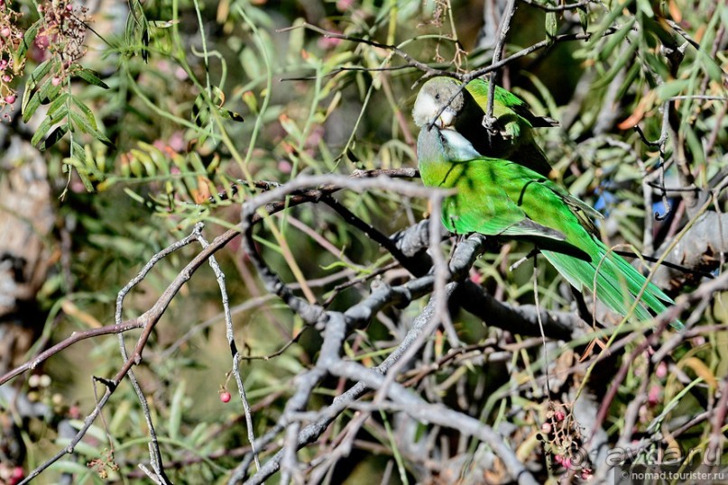 Bolivia te espera! Часть 2