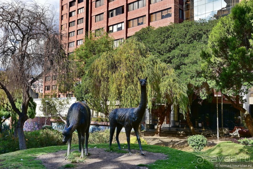 Bolivia te espera! Часть 2