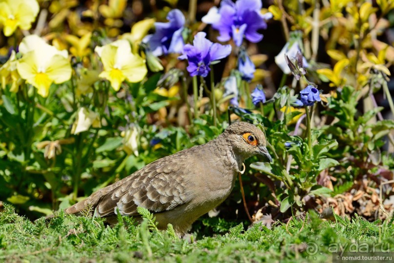 Bolivia te espera! Часть 2