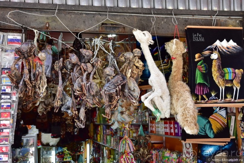 Bolivia te espera! Часть 2